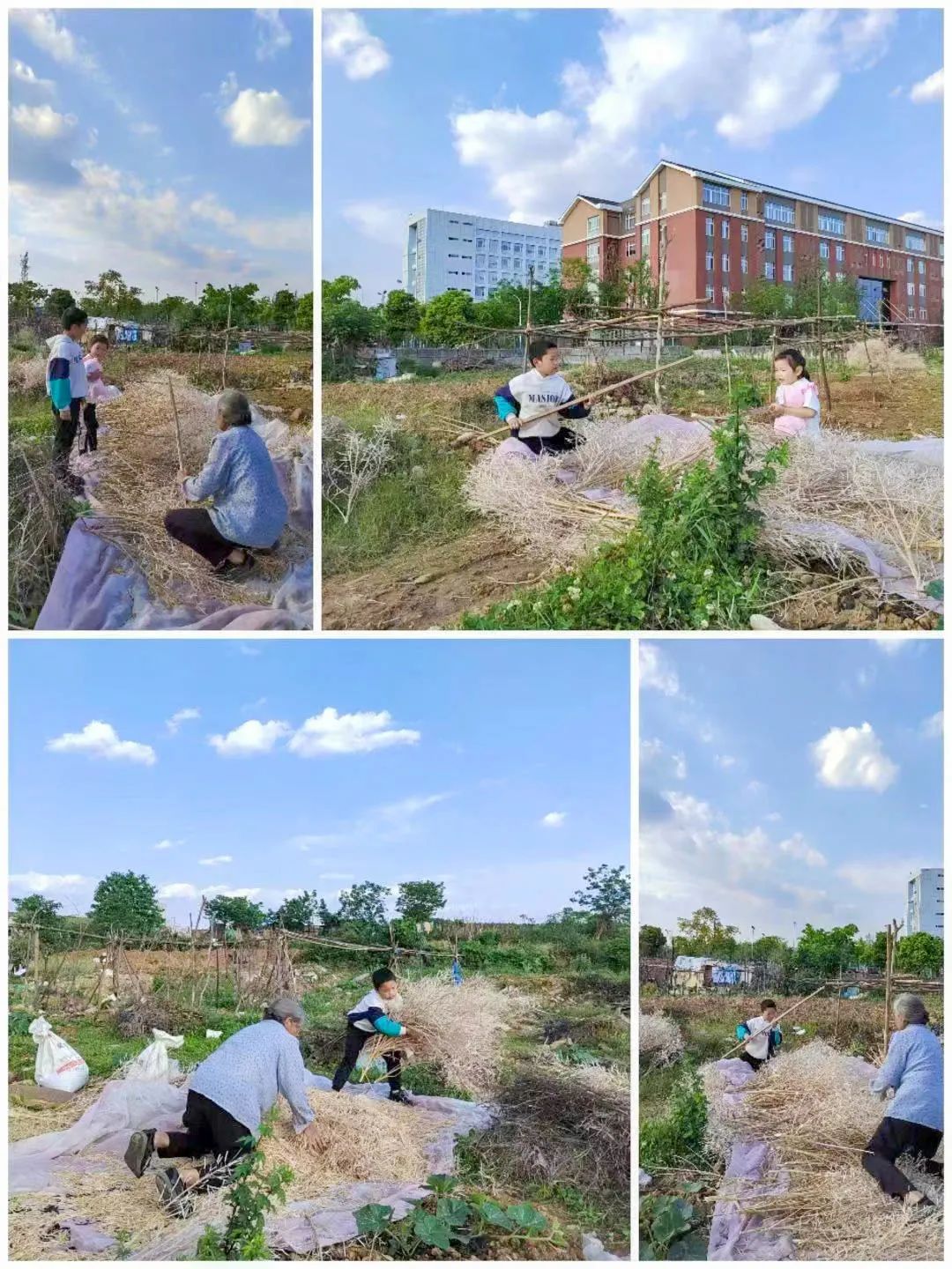 成都市双流区双华小学开展“当家竹娃爱劳动”主题教育活动