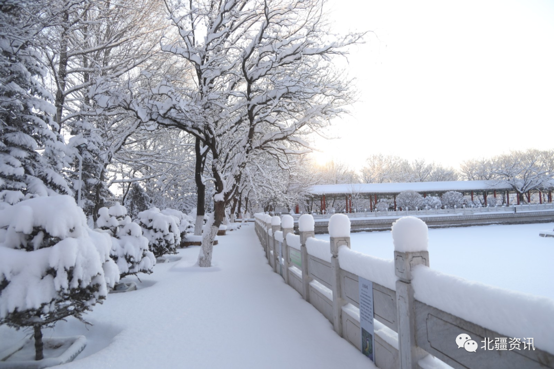 美图！三月春雪添诗意 玉树琼瑶美“出圈”