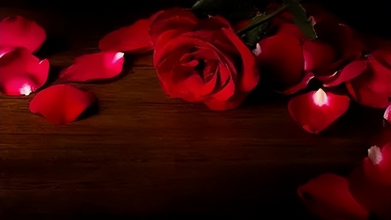 「2022.05.20」早安心语，正能量句子文案 520我爱你语录说说图片