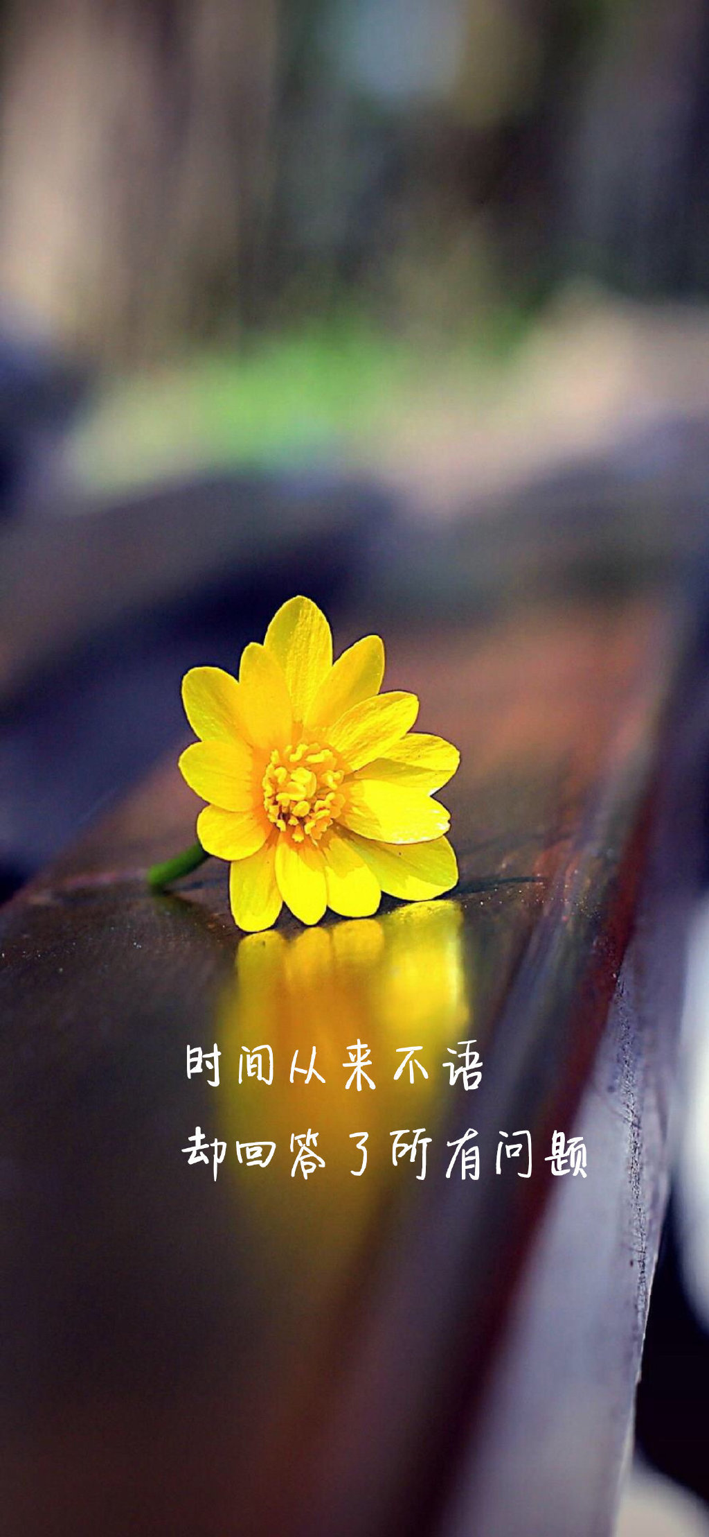 凭什么配图