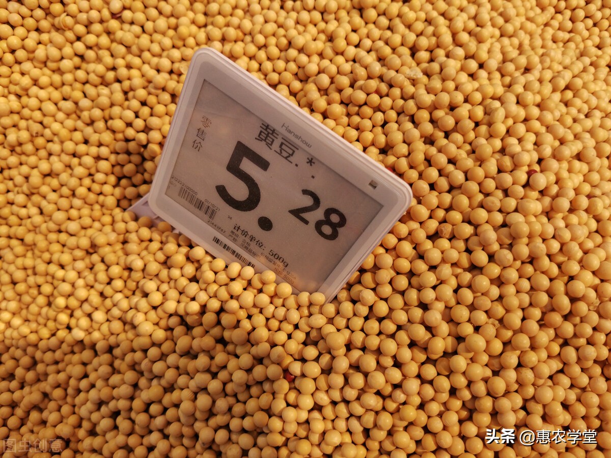 现在小麦、大豆、稻谷价格多少钱一斤？会上涨吗？附4月行情预测