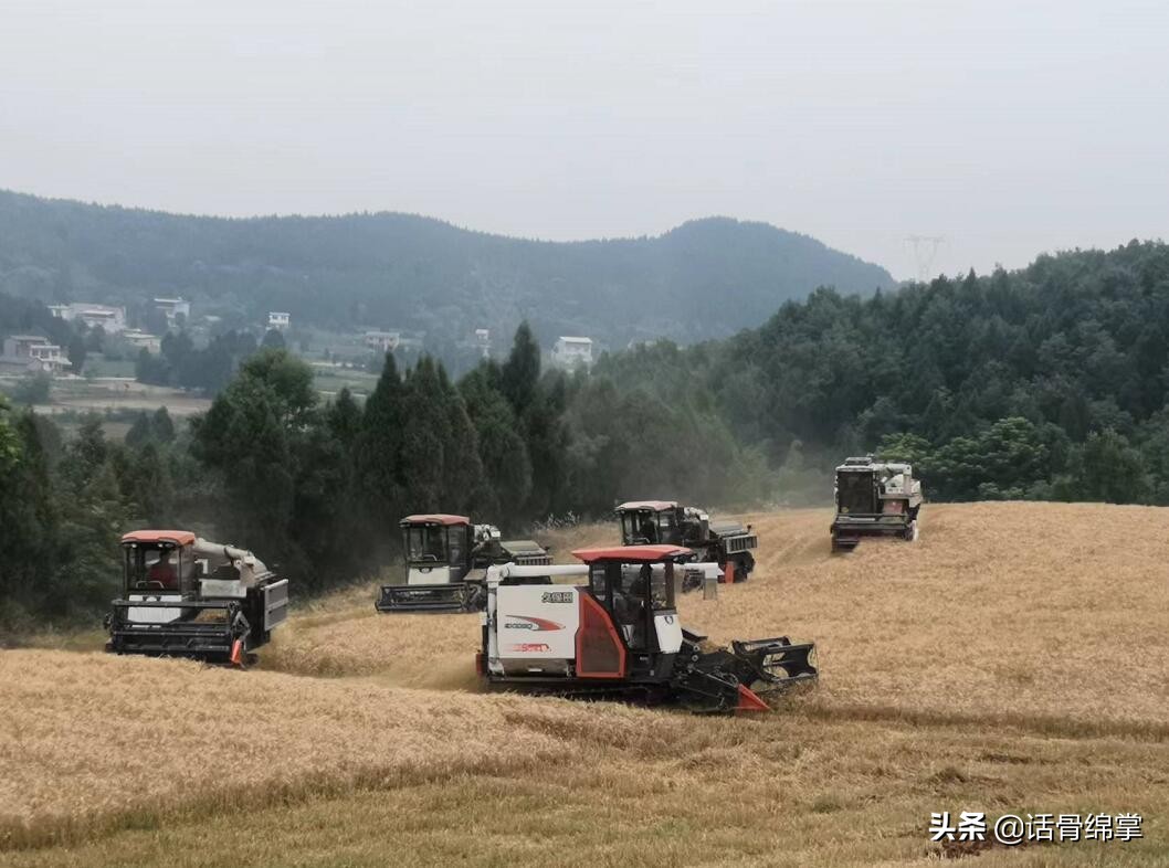 农机下田 又快又省 还有补助拿