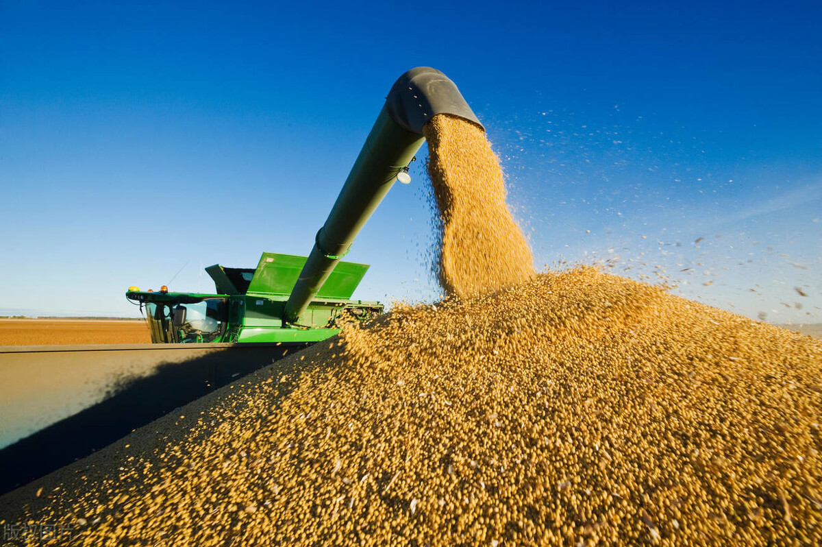 今日友谊大豆价格,今日大豆价格最新行情 - 榆树网