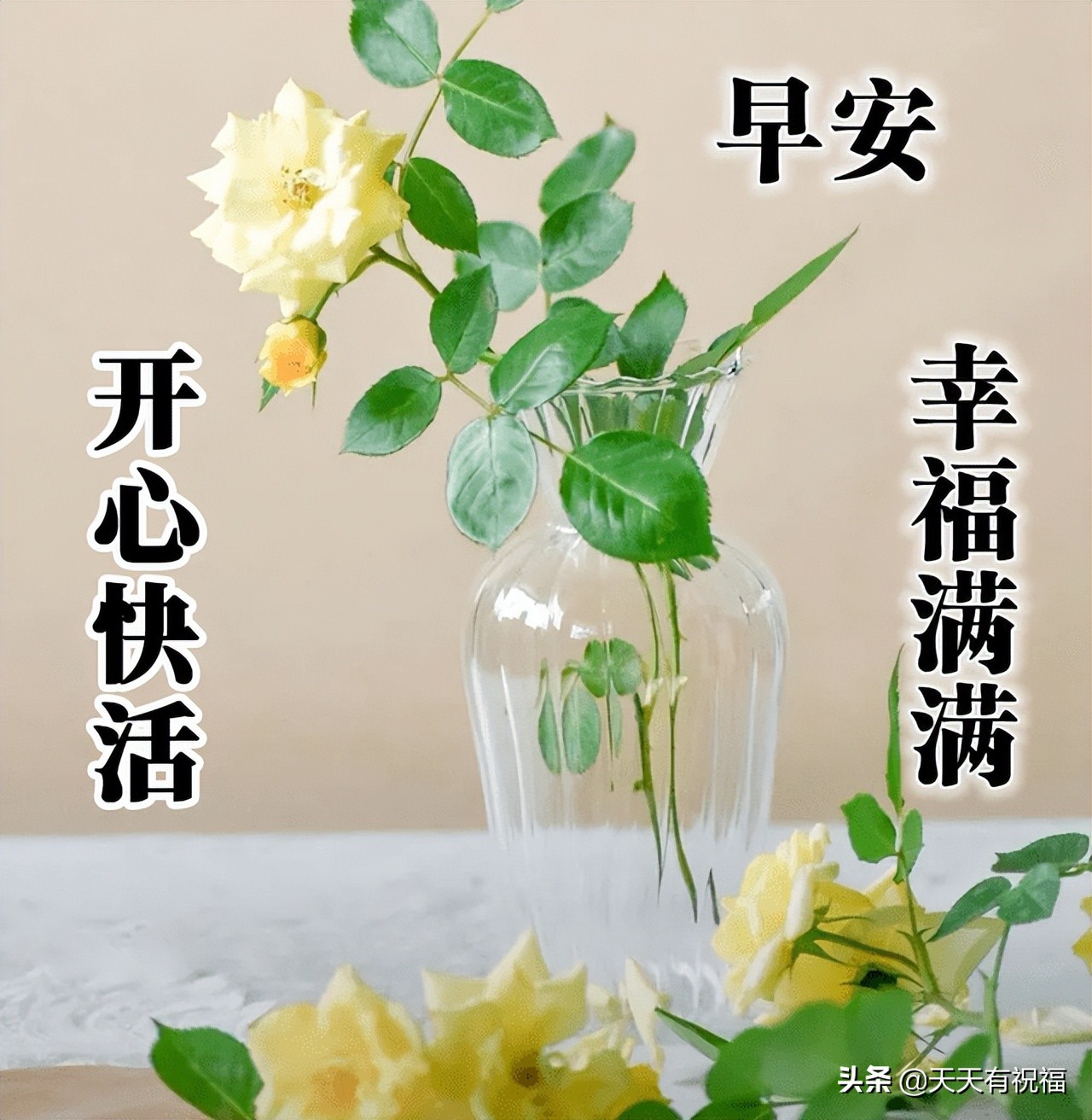 好短信(最新版早安短信问候祝福语大全 最美早安问候语图片带字温馨)