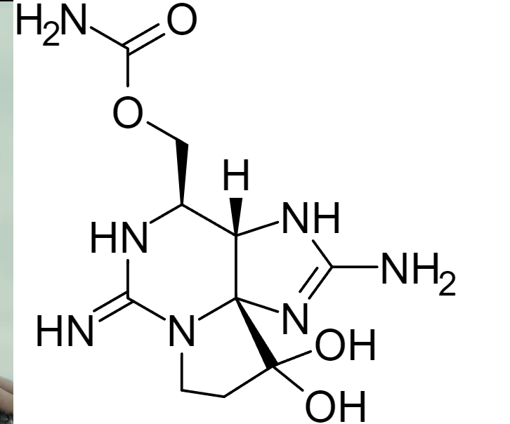 石房蛤毒素是一种极强的神经毒素