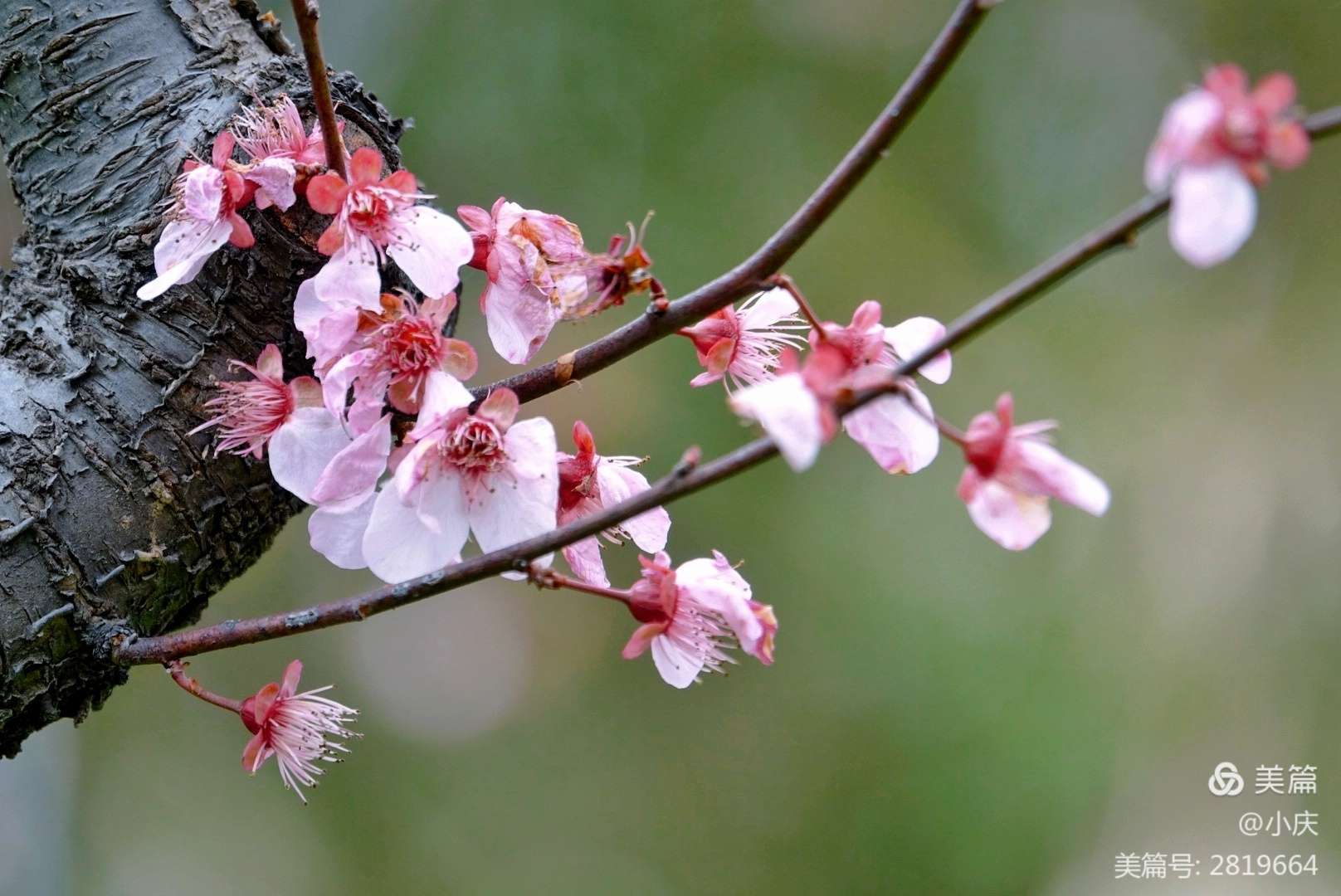 人生若顺境，愿你内敛锋芒；人生若逆境，愿你淡然处之