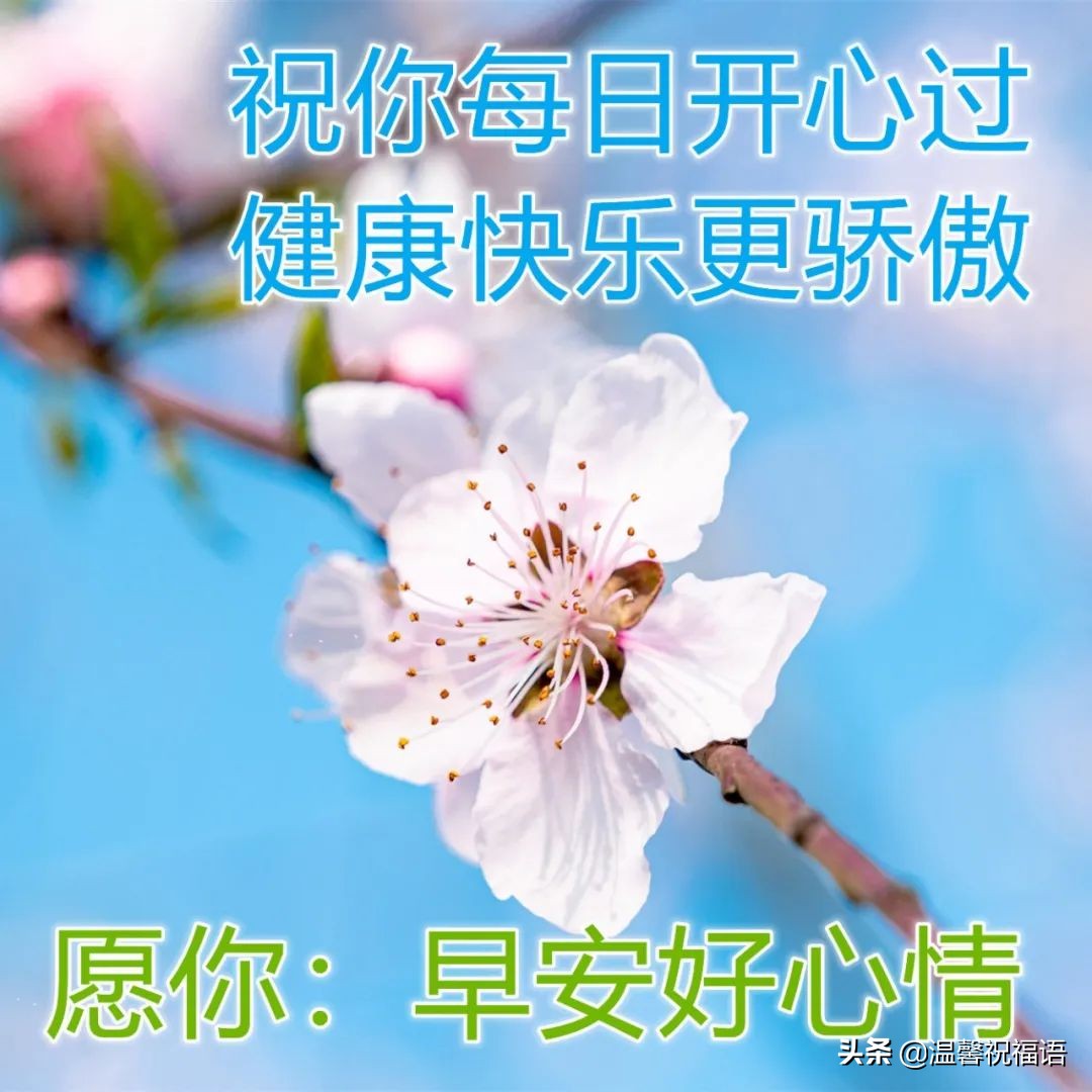 4月29日星期五清晨早上好图片带字语录 温馨早安问候语简短大全