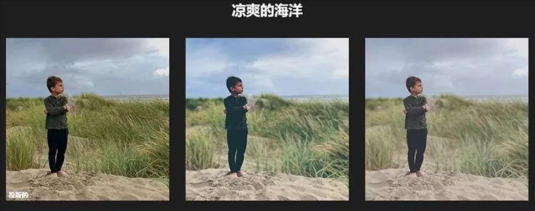 最新后期可以替代PS和LR的軟件，攝影必備神器，操作簡單細節(jié)滿滿