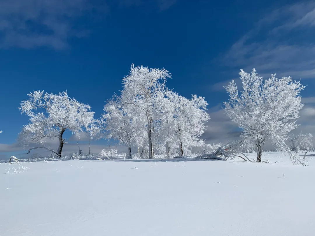 登高眺远景秘境身心愉冬日，来一场任性的雪山游