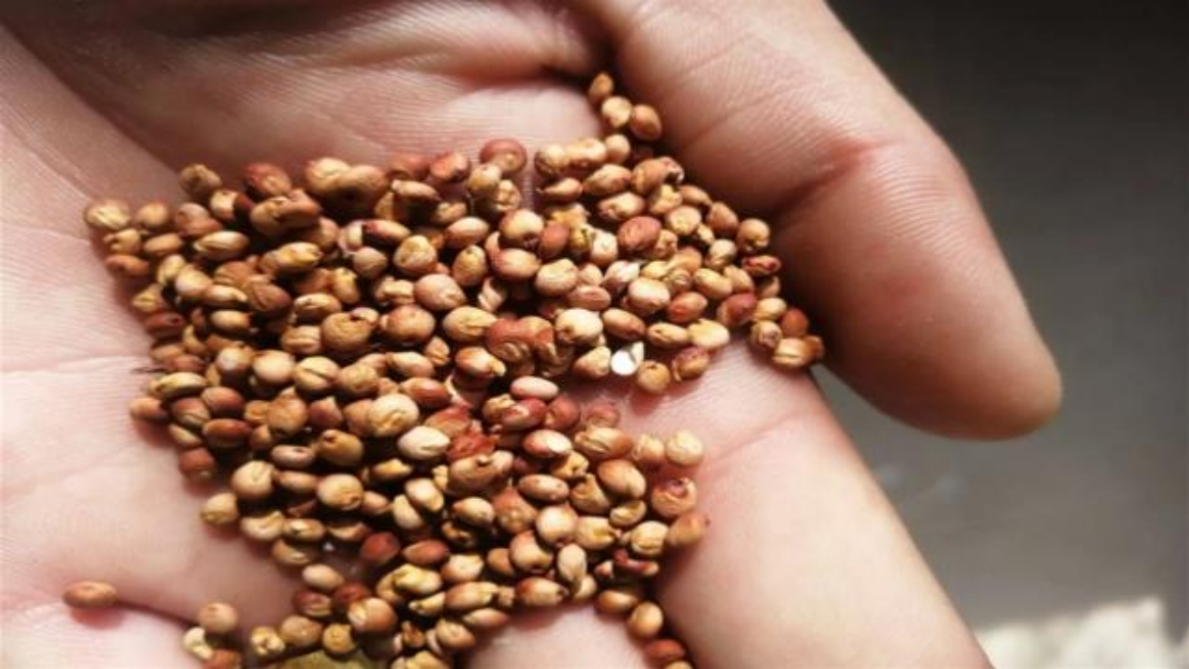 ̫�������г�Զ��2000�ڣ�Ϊ��ҪЯ��������̫�գ��������Ƿ�ȫ