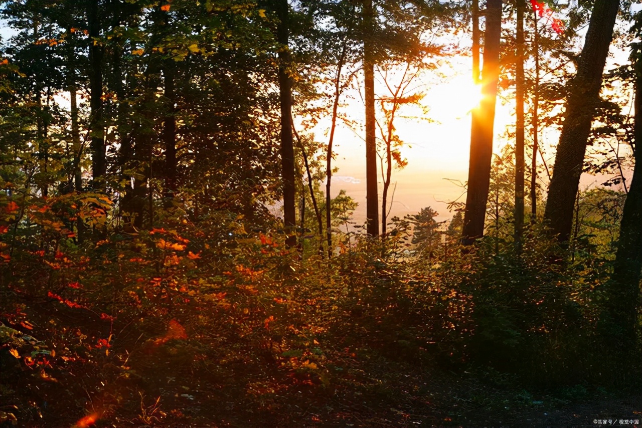 冬日的午后,阳光正好