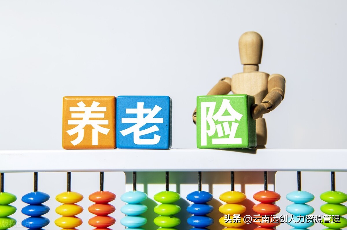 社会保障基础知识,人力资源社会保障基础知识