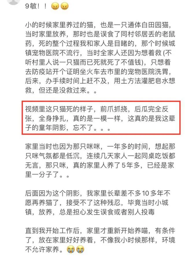 大v调查后反馈:《当家主母》猫咪拍完死了扔了,剧组回应再翻车
