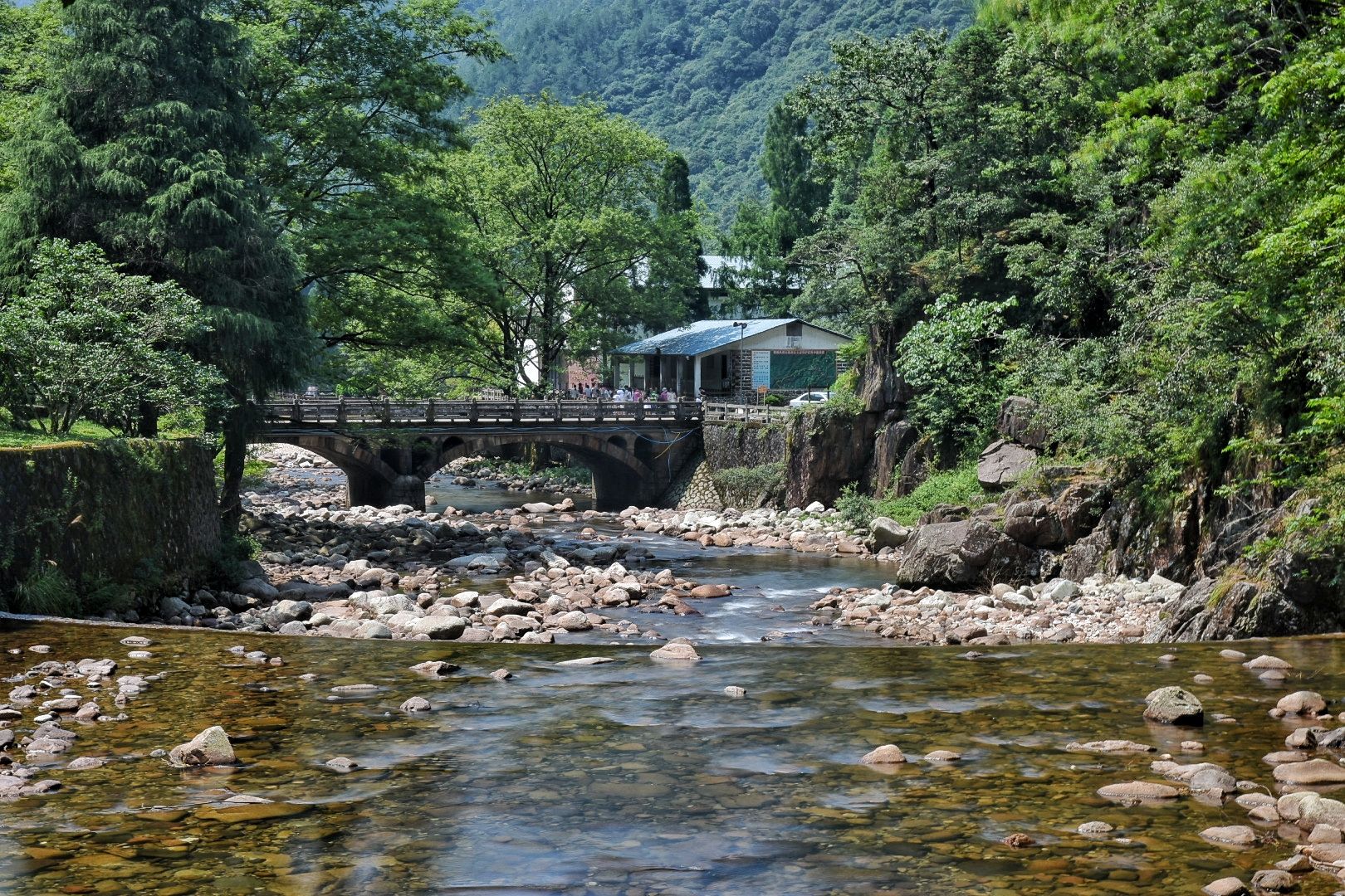 武夷山桐木关茶叶价格武夷山下的桐木村
