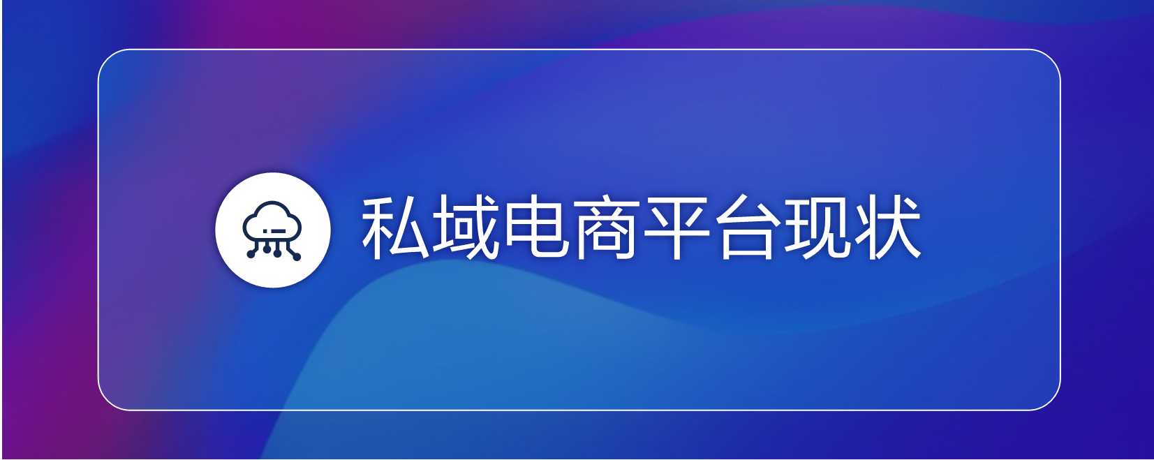 2022私域电商平台趋势报告（浪潮新消费）