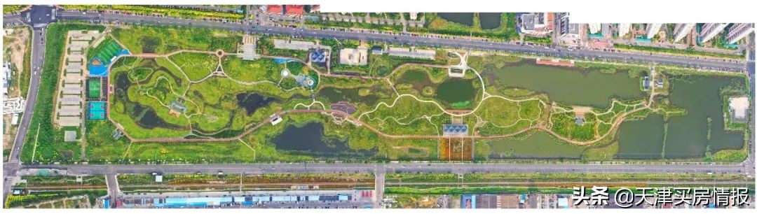 天津哪个公园能打篮球(后疫情时代，每个天津人都需要一座公园 | 城纪)