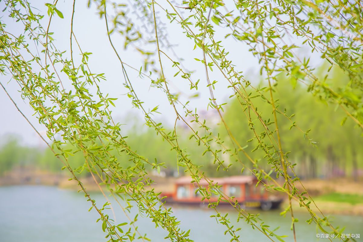 当唐诗宋词遇上春日美景,一起感受春天里的诗意美景