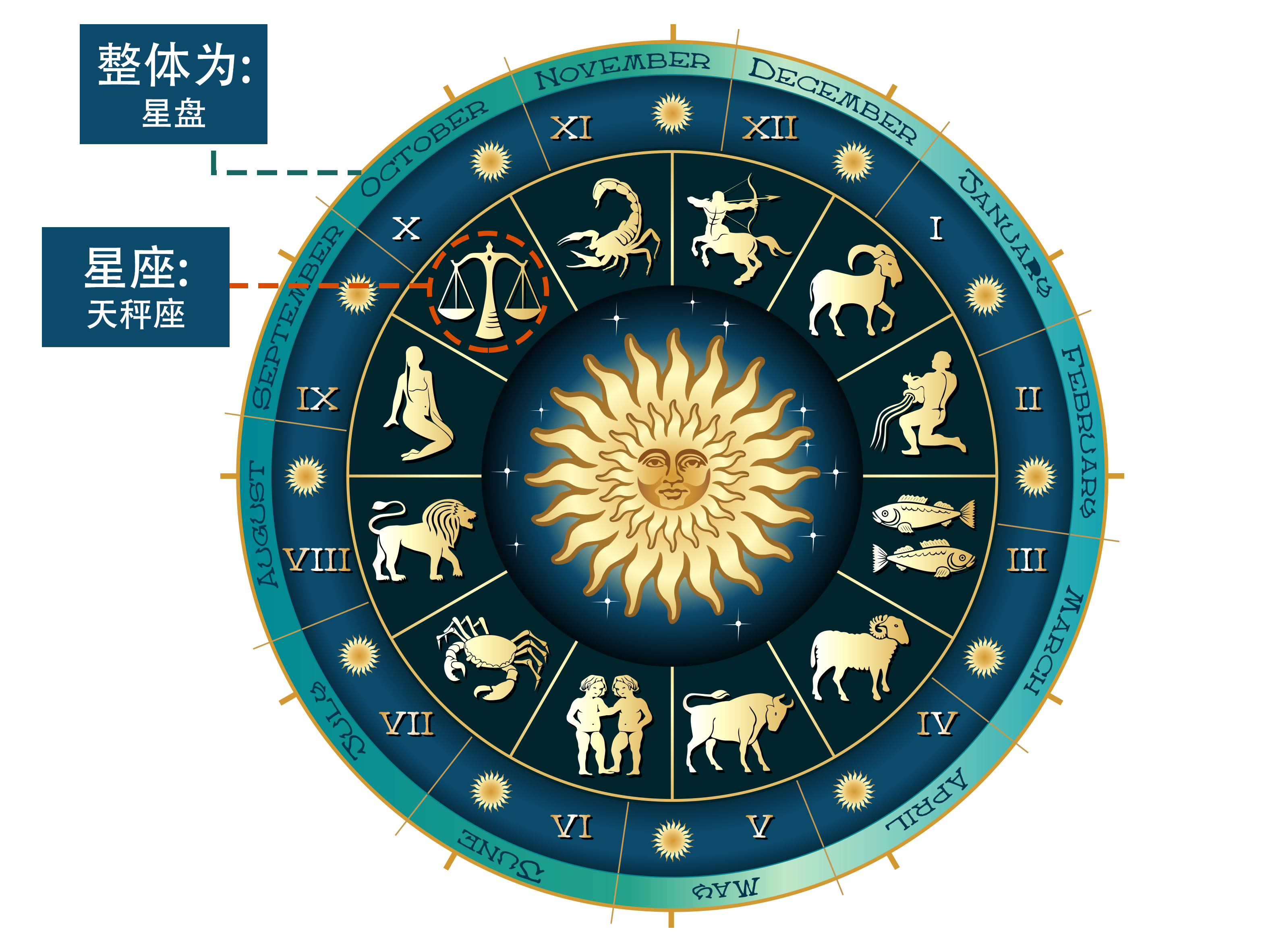 怎么查星座最准确(星座和星盘的区别)