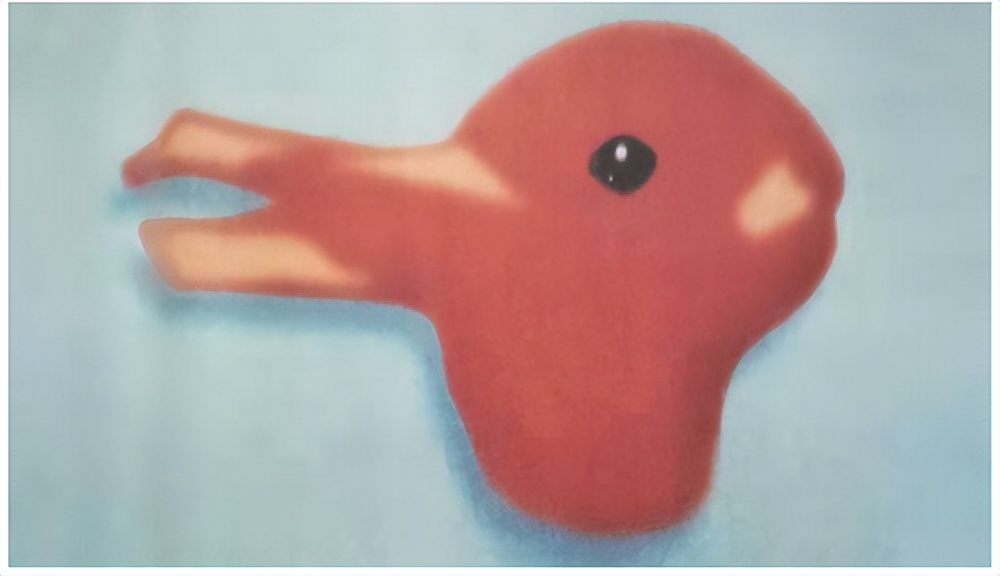 它是鸭子还是兔子？容我再看一眼.....