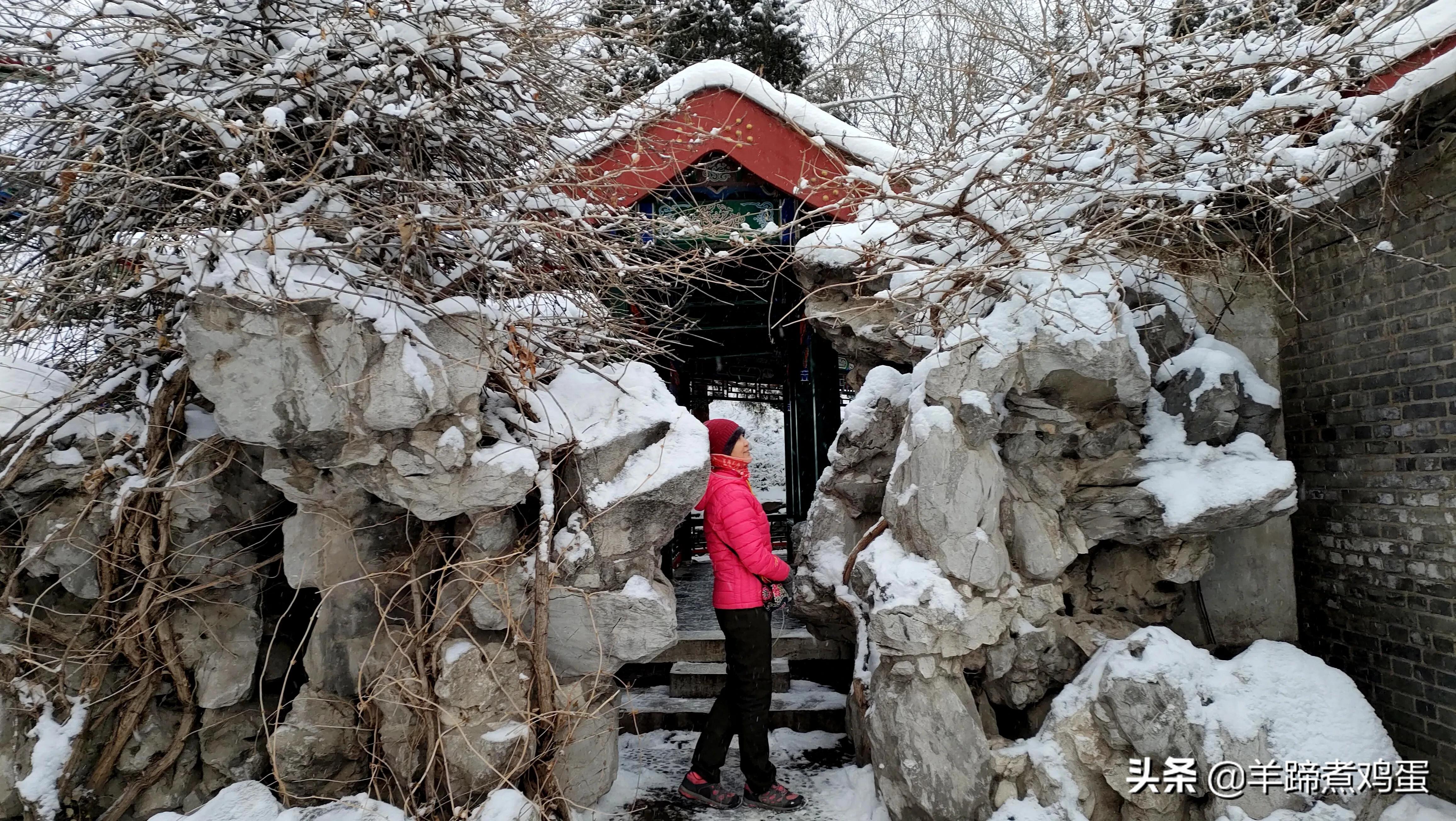 难览观园全画景雪覆腊梅一隅香——踏雪寻游北京大观园