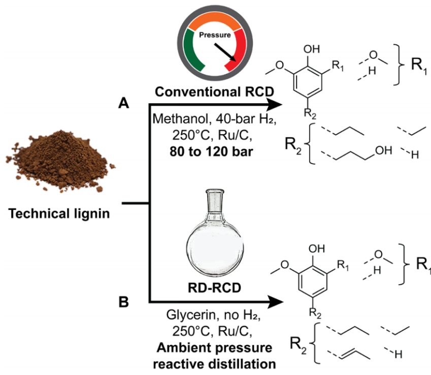 生物精炼木质素生成高值产物，合作者已成立公司探索产业化可行性