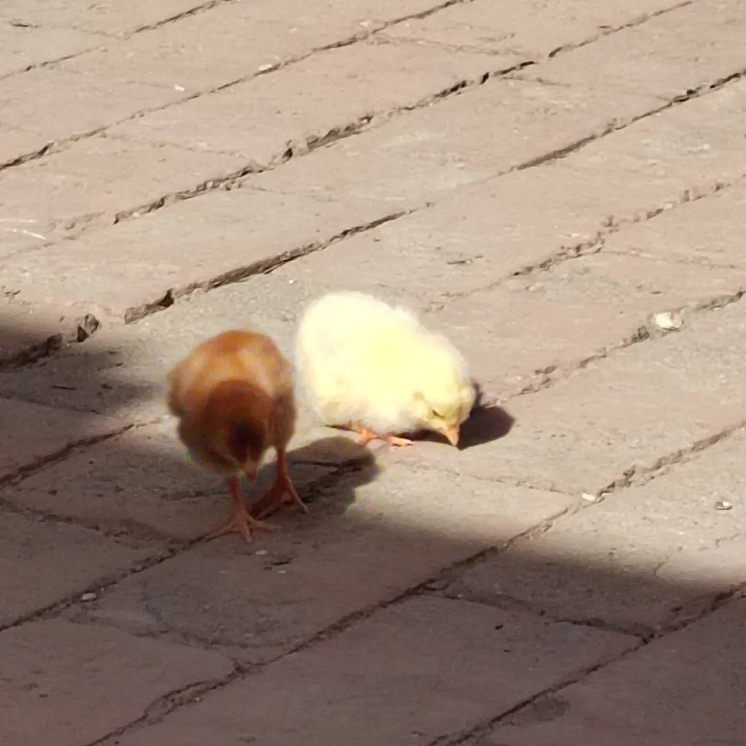 最伟大的作品？也许藏在这里……