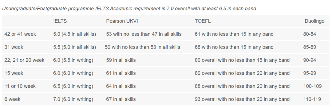 英国大学22fall语言班申请更新（上）：和雅思say bye的机会有