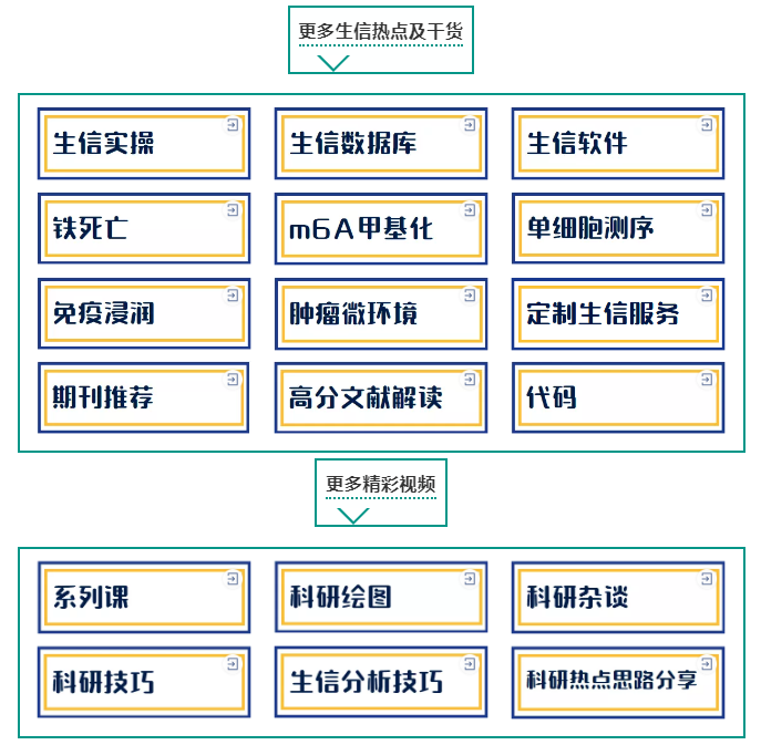 软件工具│详细介绍用Mega6软件画进化树图，推荐