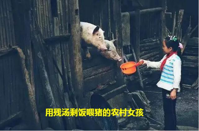 谁说农村是“脏乱差”的代表？看完本文，你的猜测也许就会转变了