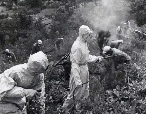 抗美援朝志愿军牺牲的最高指挥官，死因竟然是美军的空壳炸弹？