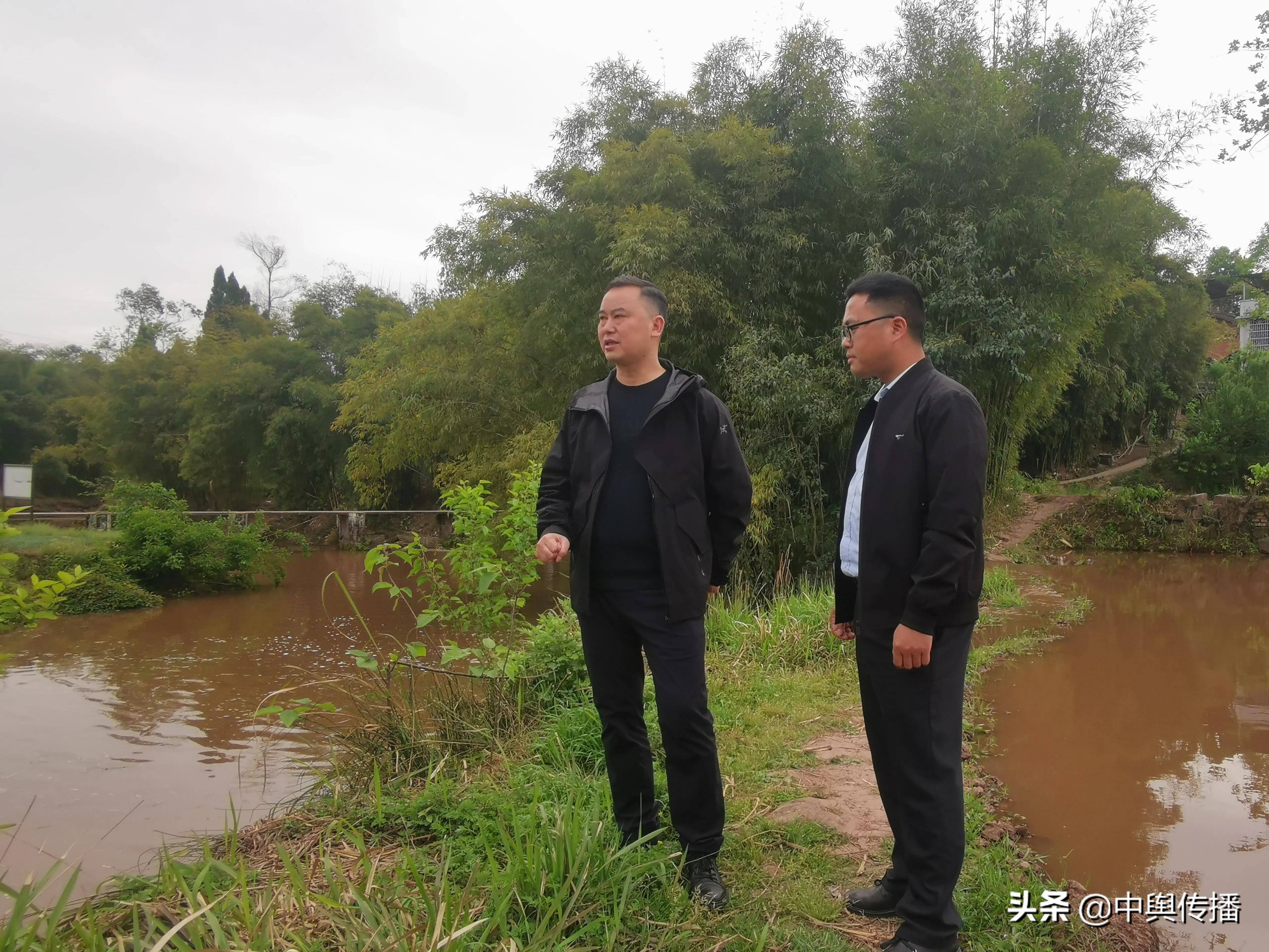区委副书记陈泽清一行到椑木镇开展巡河问河工作