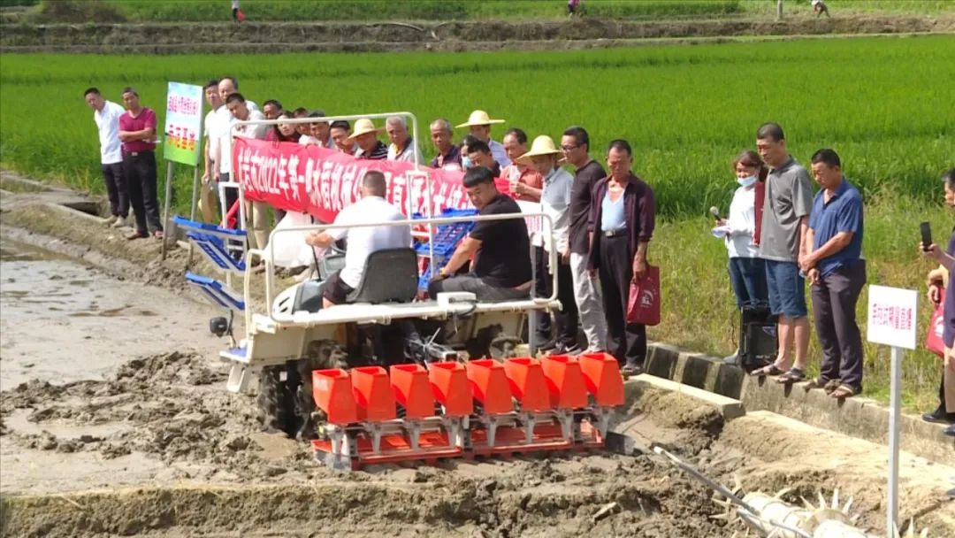 「全面推進鄉村振興」連城縣舉辦水稻機械化精量直播現場演示會