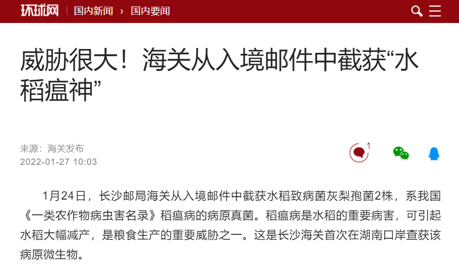 长沙海关截获非法稻瘟病菌，对粮食威胁很大！谁买的？想干什么？