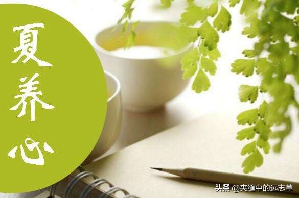 冠心病、高脂血症，多因淤血停，送你味中，血管的清道夫