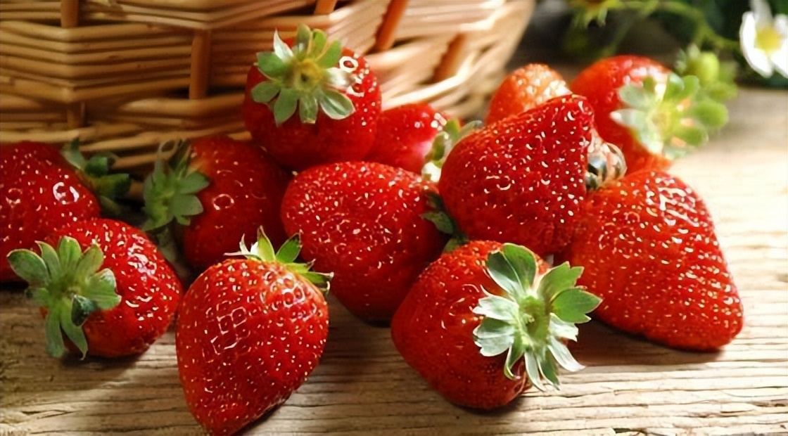 牛奶草莓和普通草莓的区别（详解2种草莓的不同）