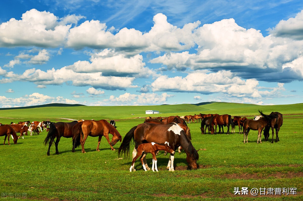 一生必去的十大景点（一生一定要去的景点）-第15张图片-华展网