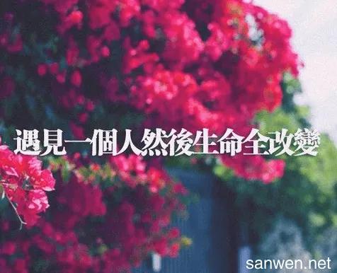 爱上你没道理，不计得失，只念真心