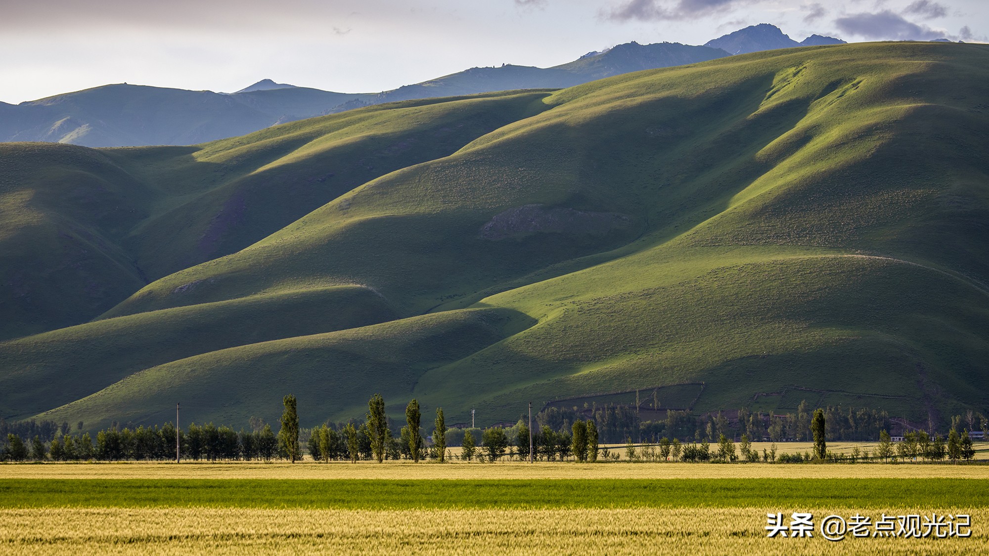 自驾游新疆——那拉提草原路边的风景
