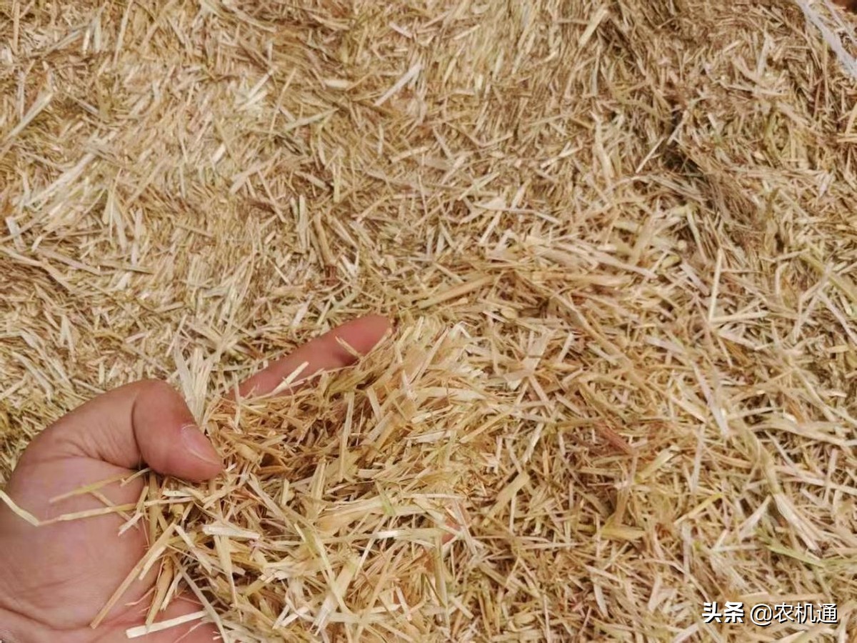 中原小麥秸稈收獲進(jìn)行時，順邦打捆機助力秸稈飼料化