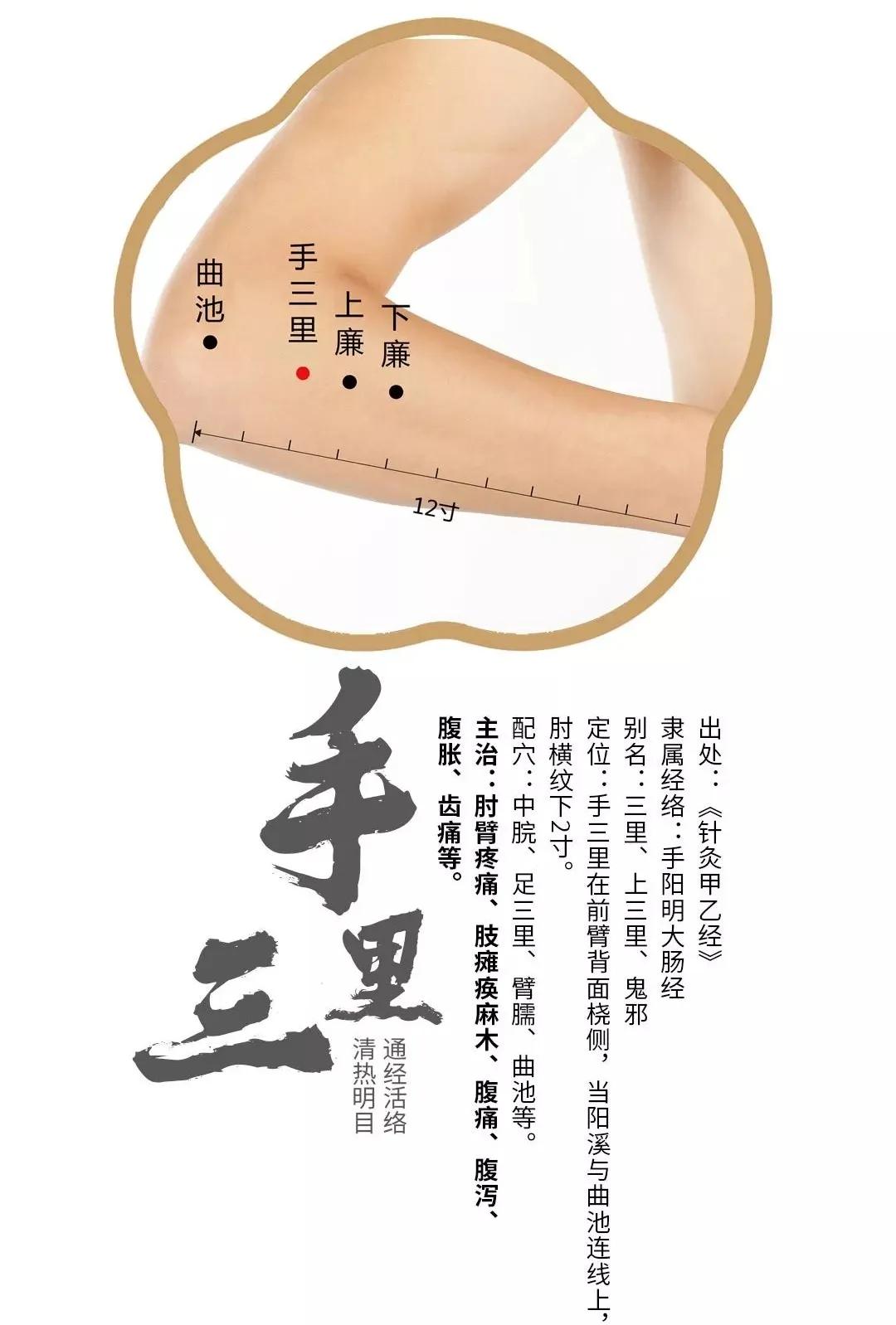 神奇的手三里穴,肩背腰腿疼的治疗穴位