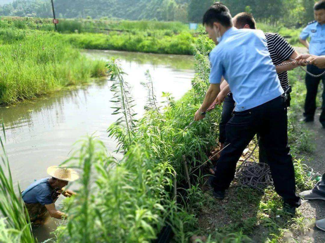 男子因杀妻被判15年，11年后亡妻竟死而复生，已和其他人结婚生子