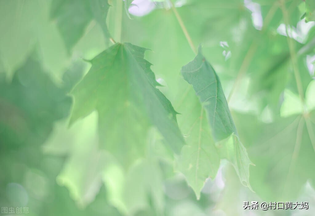 盘点军营里的歌