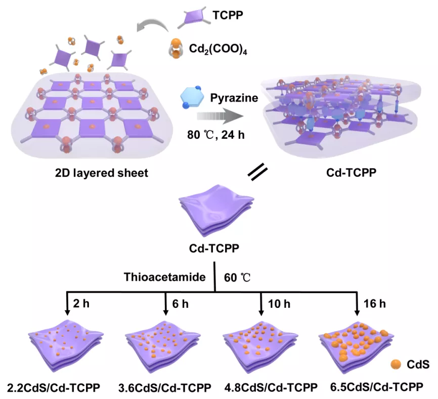 天津工业大学｜超薄2D MOF纳米片敏化的CdS量子点异质结光催化剂