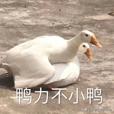 多地推迟返校！长春多所学校发布春季开学通知