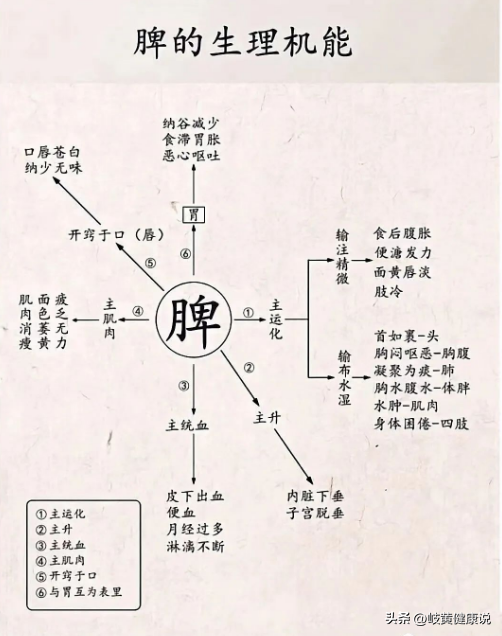 五脏中医知识,不会的朋友收藏好!