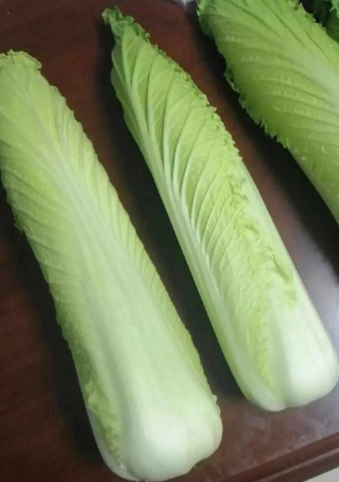 从龙芽白菜被毁案例说起,简单介绍一下白菜的种植和分类