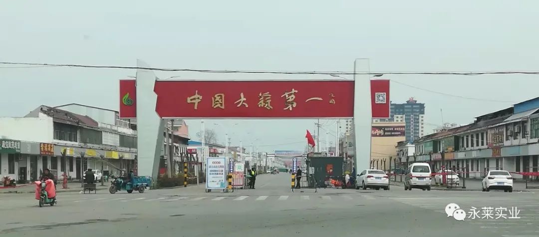 宿羊山镇位于邳州市西北部,是驰名中外的"大蒜之乡",被誉为"中国大蒜