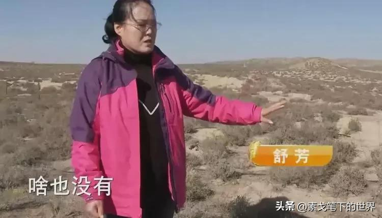 甘肃女子砸千万绿化万亩沙漠,13年后只因地里的宝贝,年入2.7亿