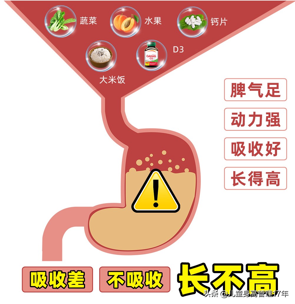 孩子易过敏怎么办？过敏体质影响长个长肉！3点帮娃调理早重视