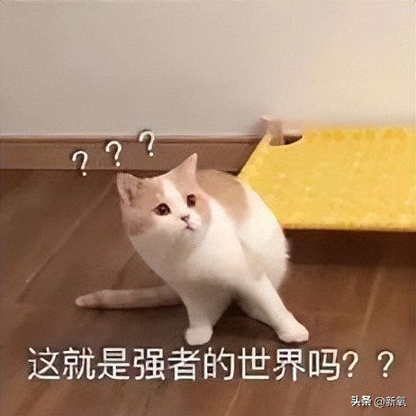 瓦妮莎怎么這么胖（300斤的瓦妮莎胖了？10個超簡單的微習慣，讓你的身材變苗條）
